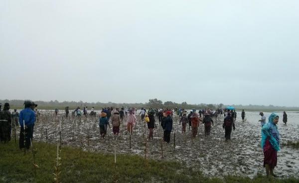 ဒီရေတောစိုက်ပျိုးနေစဉ်(MNA)