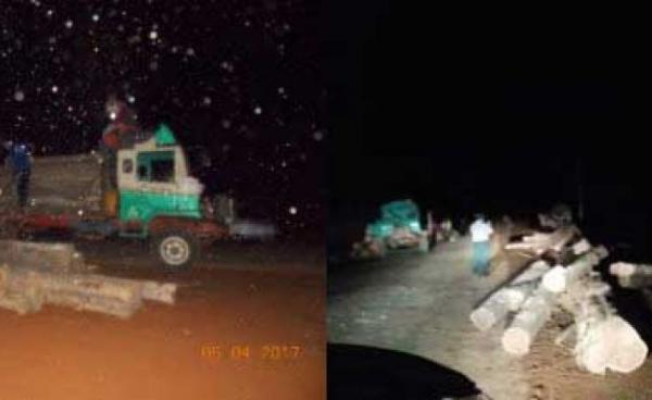 The Kayah State Forestry Department inspects timber suspected of having been illegally harvested.