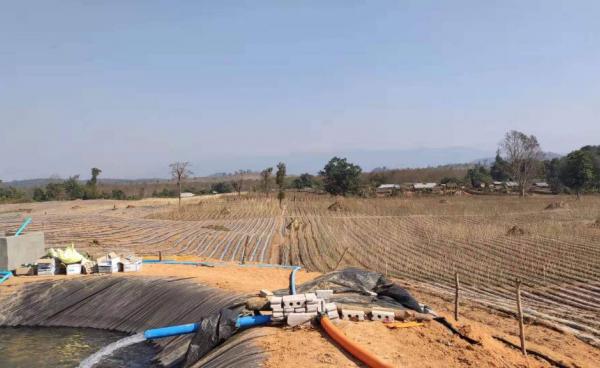 Photo by ကုန်းပေါင်းကျေးရွာ ဒေသခံတစ်ဦး/ မန်ပန်ဌာနေ ပြည်သူ့စစ် သိမ်းဆည်းထားသည့် လယ်ယာမြေများ