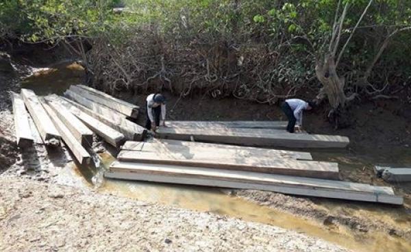 အမ်းမြို့နယ်တွင် ပိုင်ရှင်မဲ့ သစ် ၁၅ တန်ကျော် ဖမ်းဆီးမိ