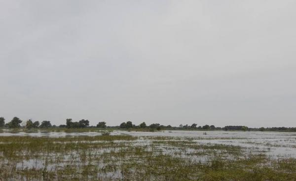 Mon State’s Department of Agriculture says the flood damage to farmland was more extensive this year, than last. (photo; Internet) 