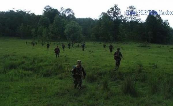 PSLF/TNLA Troops (From PSLF/TNLA Facebook page.)