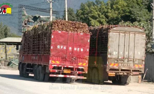 တရုတ်နိုင်ငံသို့ တင်သွင်းနေမည့် ကြံကားများ