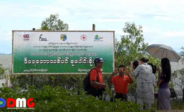 K20 million of mangrove plants planted on Manaung Island