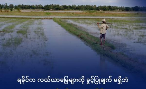ကျောက်တော်မြို့နယ်မှ လယ်ယာမြေများကို ပြီးခဲ့သည့် ရက်ပိုင်းက တွေ့ရစဥ်။ ဓာတ်ပုံ - DMG
