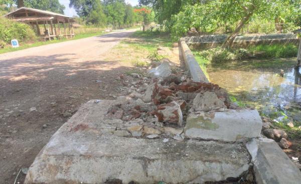 Duck Statue damage at Mongnai by Sai Mg Gyi