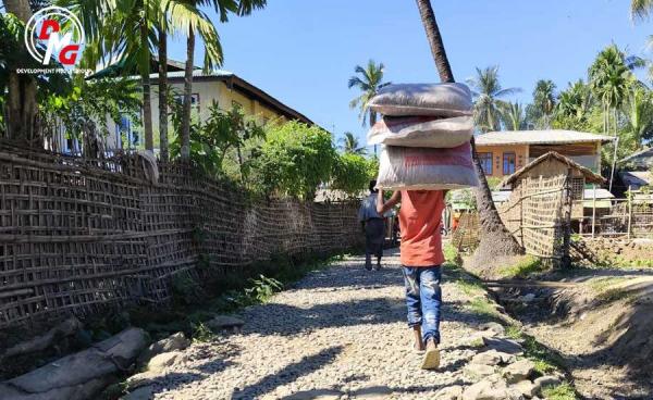 A child labourer in Arakan State is pictured in November 2024.