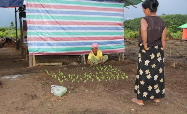  ဇောလ်ပီးရေဘေးဒုက္ခသည်စခန်းတွင် အိမ်ရှင်မတစ်ဦးက ၄င်းတို့အိမ်ရှေ့တွင် တပိုင်တနိုင် ခြံလုပ်နေစဉ်။ (ဓာတ်ပုံ- ဆလိုင်းလာလ်နွန်အုပ်)