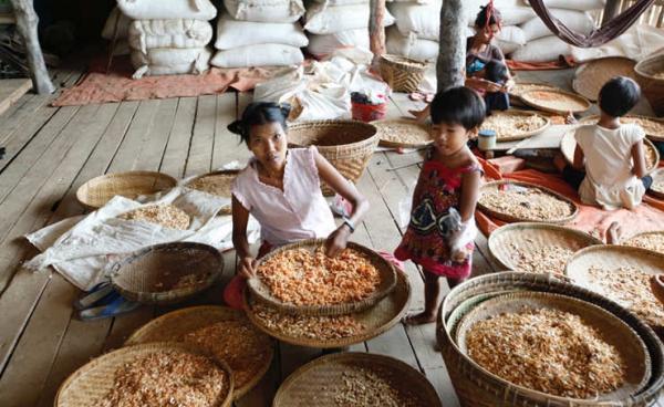 မွန်ပြည်နယ် ရေးမြို့နယ်ရှိ အလတ်စား ပင်လယ်ရေထွက်လုပ်ငန်းခွင်တစ်ခုအား မေလ ၆ ရက် ၂၀၁၅ ခုနှစ်ကတွေ့ရစဉ်။ ဓာတ်ပုံ- ဟောင်ဆာ(ရာမည)