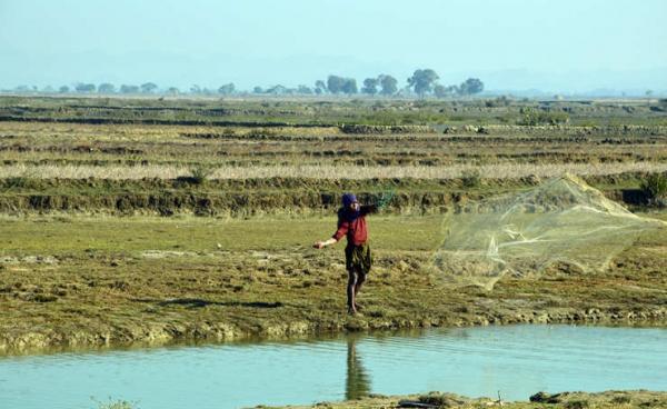 ဓာတ်ပုံ (ကျော်မင်း/စစ်တွေ)