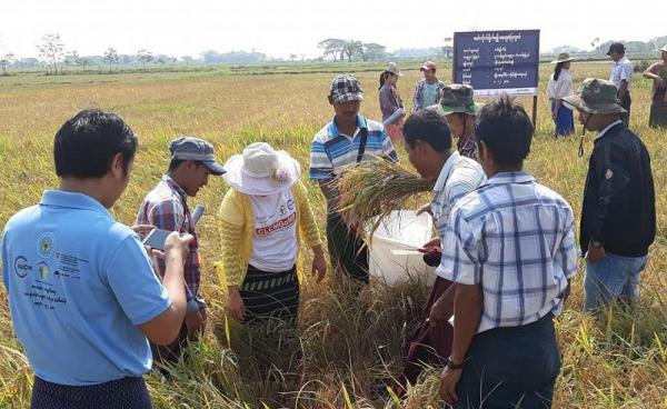 Farmers' Field Exhibition