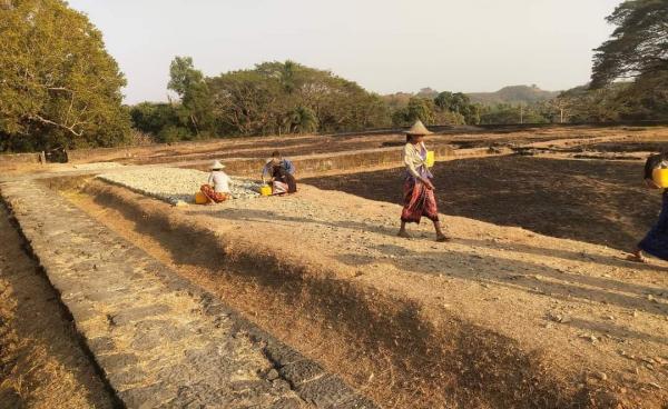 ဓာတ်ပုံ - Facebook