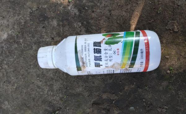 ချောင်းဘေးတွေ့ရသည့် ပိုးသတ်ဆေးဘူး