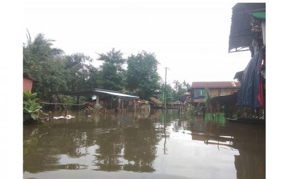 Houses have been submerged by the flooding (Photo – MNA)