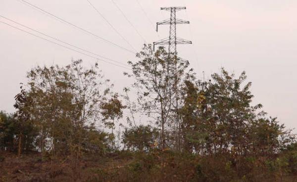 ဂေါ်ဆက်ယန် CF တွင်းက မီးကြိုး