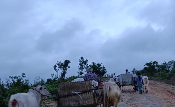 ပေါက်မြို့နယ် လူသားချင်းစာနာထောက်ထားရေးနှင့် ဘေးအန္တရာယ်ဆိုင်ရာ စီမံခန့်ခွဲရေးဌာန။