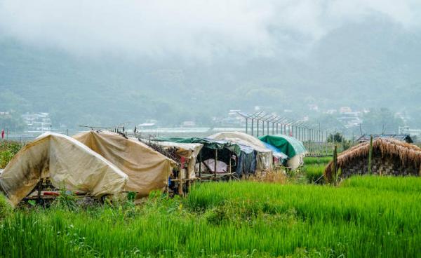 ဓာတ်ပုံ - Mai (MNWM)