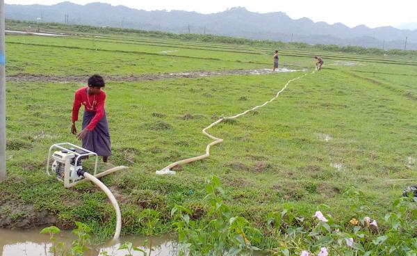 လက်ရှိ ကျောက်တော်မြို့နယ်မှ လယ်ကွင်းများကို တွေ့ရစဉ်။ Photo- CJ