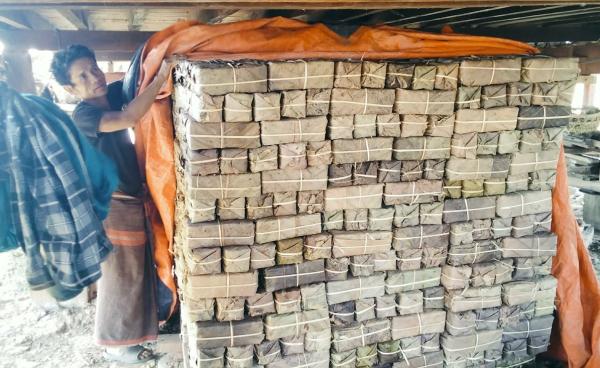 CJ (မရောင်းထွက်သေးသည့် ကြံသကာများကို တောင်သူတစ်ဦးနှင့်အတူတွေ့ရစဥ်) 