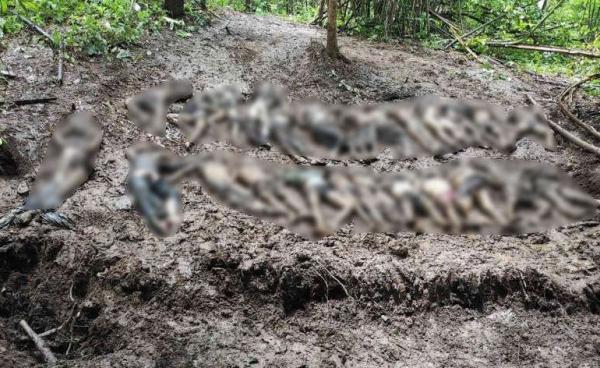 Photo - အလောင်းများစုပြုံထားသည့်နေရာ (မြဝတီသတင်းစဥ်)