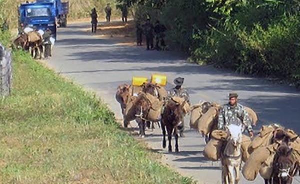 ဝိုင်းမော်မြို့နယ်တစ်နေရာတွင် တွေ့ရသော လားများနှင့် စစ်သားများ (File Photo)