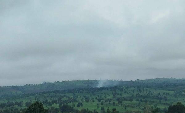 ဓါတ်ပုံ - PNLA