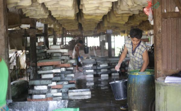 ရာဘာစေးမှ ရာဘာပြားထုတ်လုပ်နေပုံ(photo: MNA)