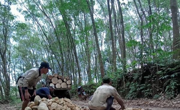 အဖမ်းခံရပြီး ပြန်လည်လွတ်မြောက်လာသူ ၃ ဦး (Aung Aung)