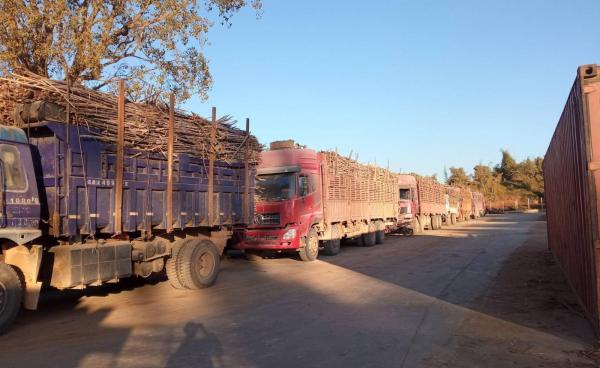 နောင်ချိုမြို့နယ်အတွင်းမှ ကြံကားများ။