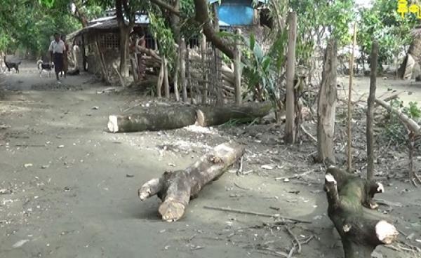 လမုတပင်ကျေးရွာမြင်ကွင်းအား ယခင်က တွေ့ရစဉ်။