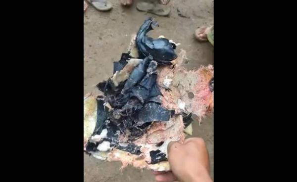 ပျက်ကျသွားသည့် လေယာဉ်အတွင်းမှ ပေါက်ကွဲထွက်လာသည့် လေယာဉ်မှူး၏ ဦးခေါင်းခွံကို တွေ့ရစဉ်။ (ရုပ်သဖိုင်မှ)