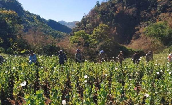 Photo by မူးယစ်ရဲတပ်ဖွဲ့