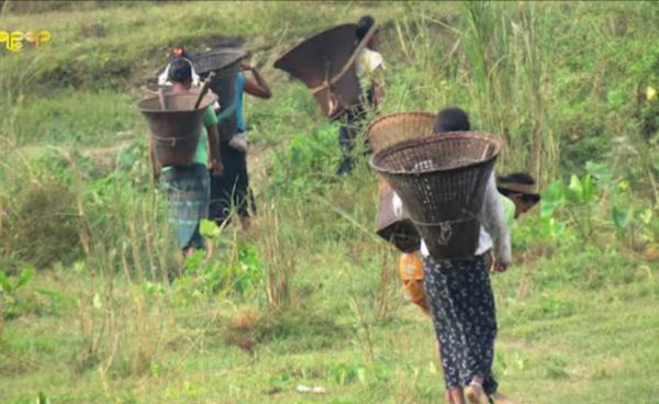 ရခိုင်ဒေသတွင်း တောတောင်များကို မှီခိုလုပ်ကိုင်စားသောက်နေရသည့် ရခိုင်ပြည်သူအချို့အား တွေ့ရစဉ်။