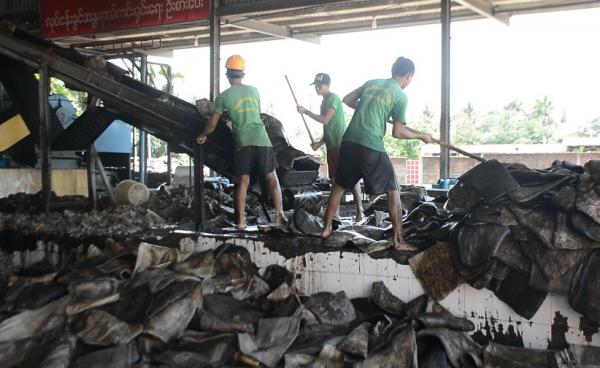 ဖူးရှင်ရာဘာစက်ရုံ