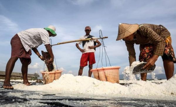 သံဖြူဇရပ်မြို့နယ် ပငကျေးက ဆားကွင်းလုပ်သားများ