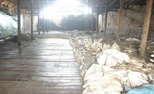 ပငဆားဂိုထောင်တစ်ခုမှ ရေမြုပ်ပြီးလက်ကျန်ဆားအိတ်များ(ဓါတ်ပုံ -MNA)