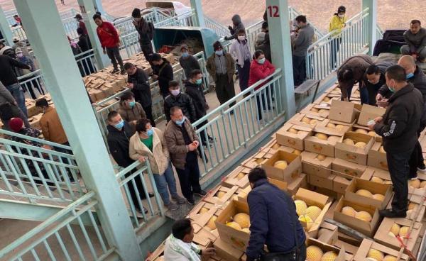 Photo by ခွာညိုသစ်သီးပွဲရုံ