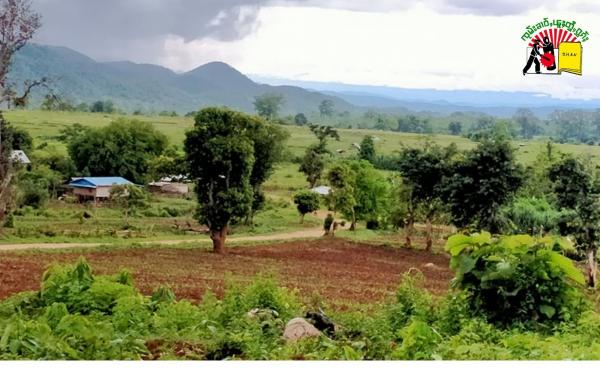 RCSS မှ သိမ်းယူထားသည့် နမ့်လန် လယ်ယာမြေများ