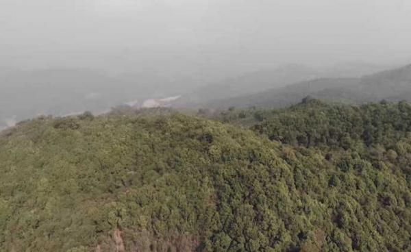 Thick Forest in the Salween Peace Park, Northern Karen State (Photo-Saw Mort)