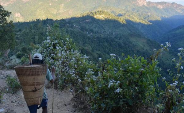 ဟိုယာဒေသ တစ်နေရာအား တွေ့ရစဉ် (ဓါတ်ပုံ-စိုင်းလင်းလင်းဦး)