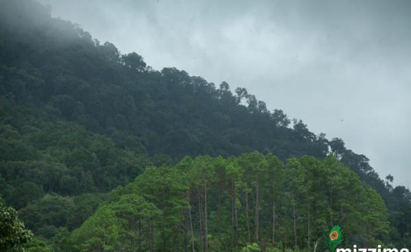 ရှမ်းပြည်နယ်တောင်ပိုင်း ပင်းတယမြို့နယ်။ ဓာတ်ပုံ - သူရ
