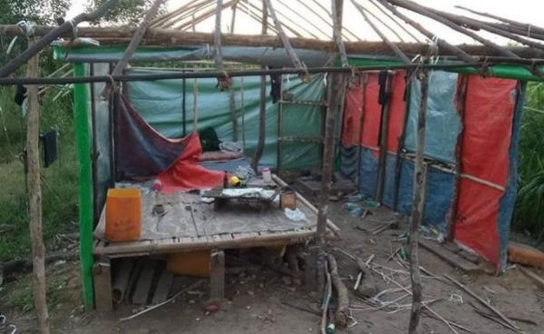 ဓာတ်ပုံ၊တောင်ပေါ်ကျား