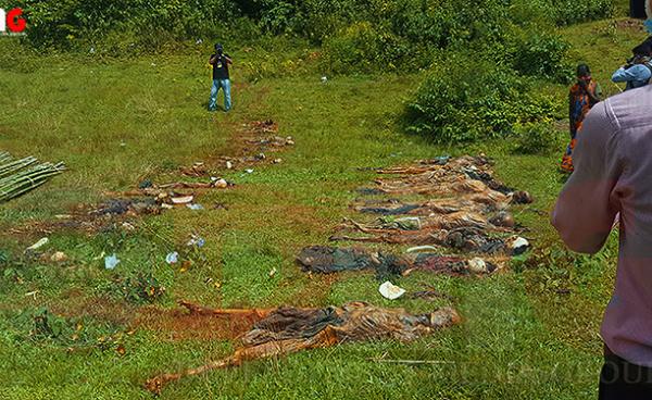(Bodies of Hindi people killed and buried during brutal violence in Maungdaw in 2017, Photo_ Byan Lwar)