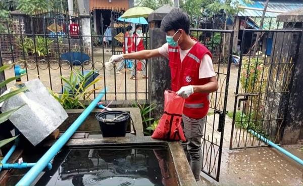 လောက်လန်းသေဆေး(abate) ဖြန်းနေသည်ကို တွေ့ရစဉ်။