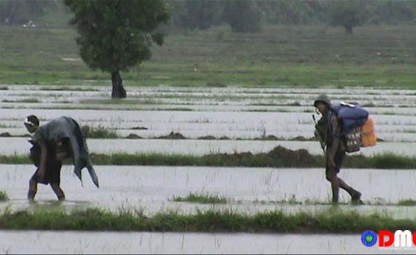 A Tatmadaw battalion was attacked with remote-detonated mines near Thayet Tapin Village beside the Yangon-Sittwe Road on 13 November noon. (Photo - DMG)