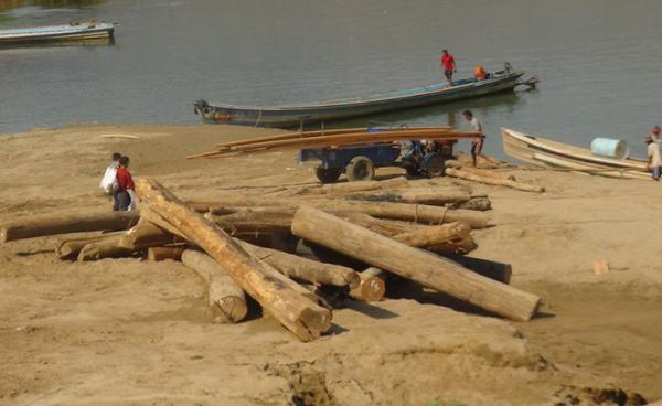 အိမ်သုံးသစ်များကို ၂၀၁၅ ခုနှစ်ကာလက ဖါးဆောင်းမြို့ သံလွင်မြစ်မှတဆင့် သယ်ယူနေကြစဉ်(ဓါတ်ပုံ-စိုင်းလင်းလင်းဦး)