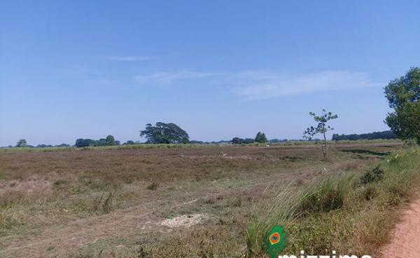 သတင်း၊ ဓာတ်ပုံ - ထက်မြတ်