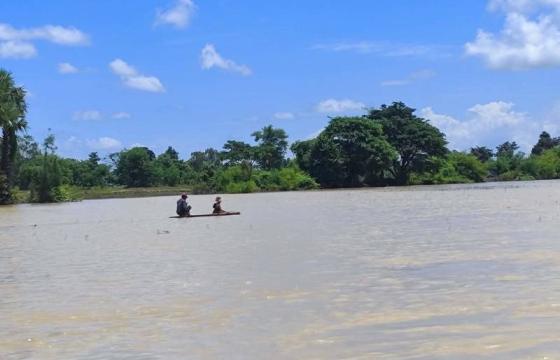 ဓာတ်ပုံ - CJ