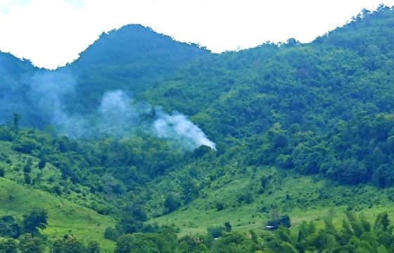 ဓာတ်ပုံ - CJ