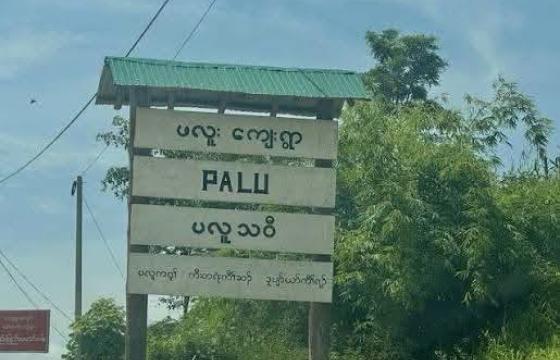 ဓာတ်ပုံ - Social Media